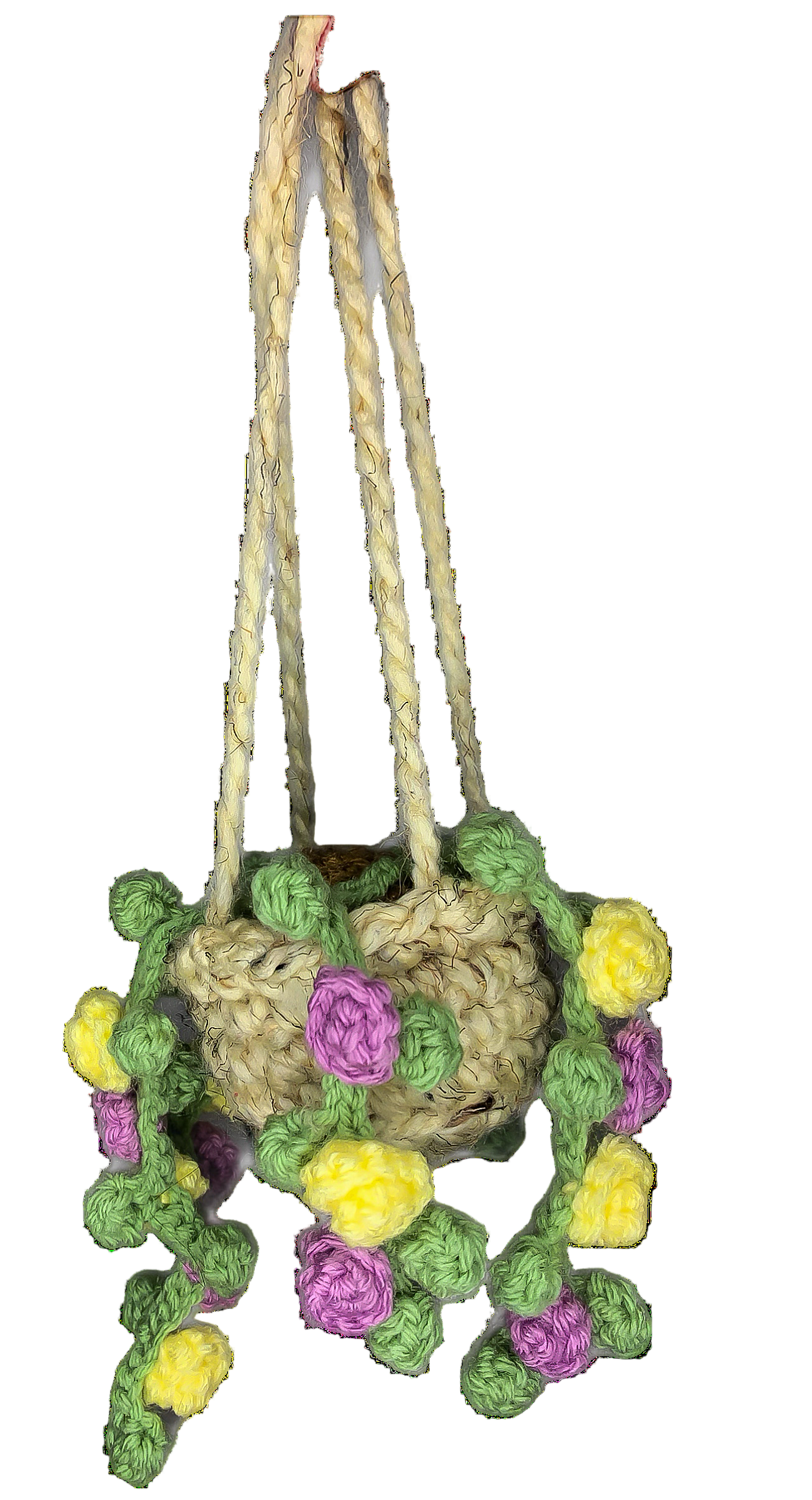 Hanging Potted Plant Car Accessory