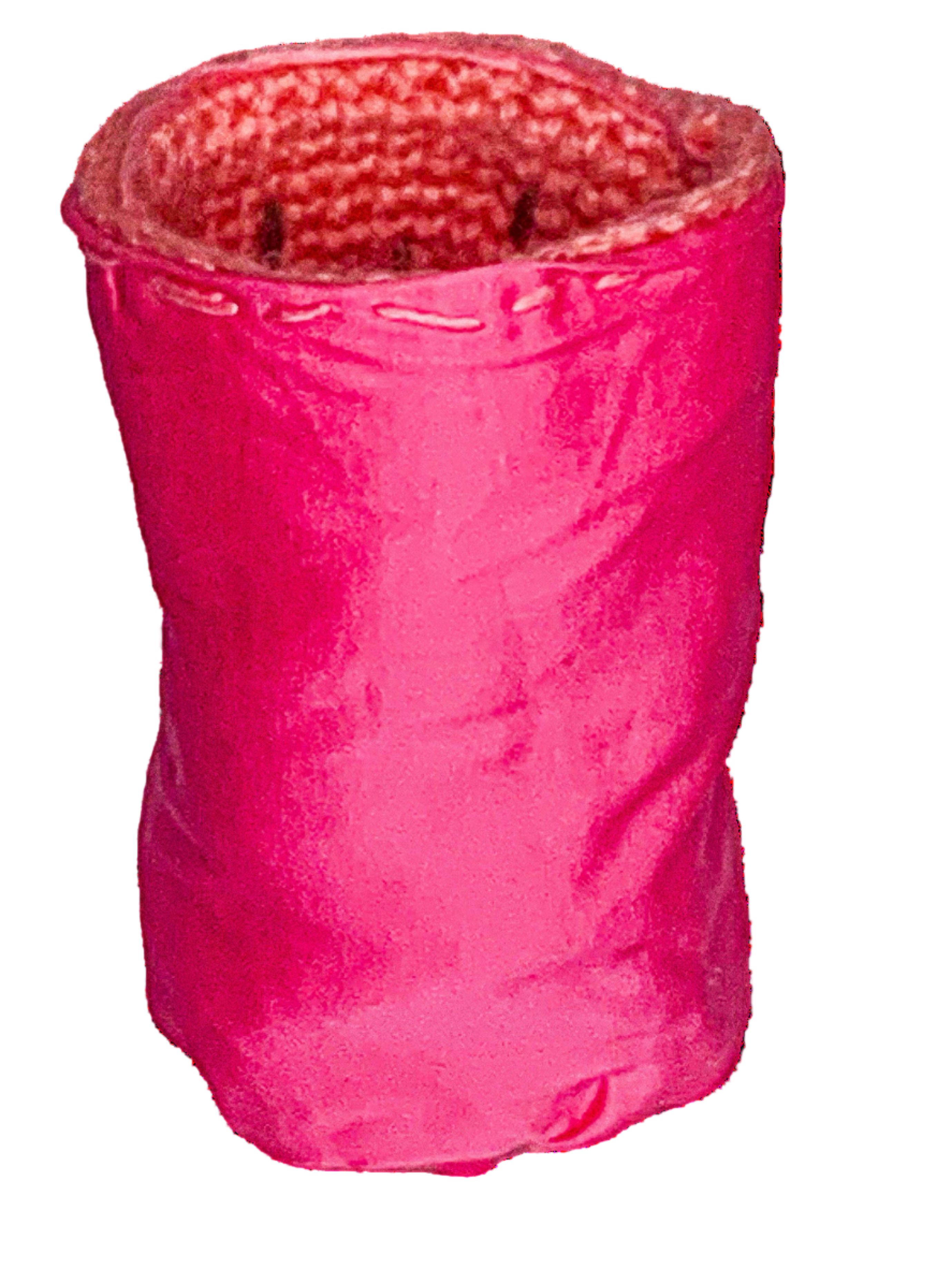 Watermelon Can Koozie