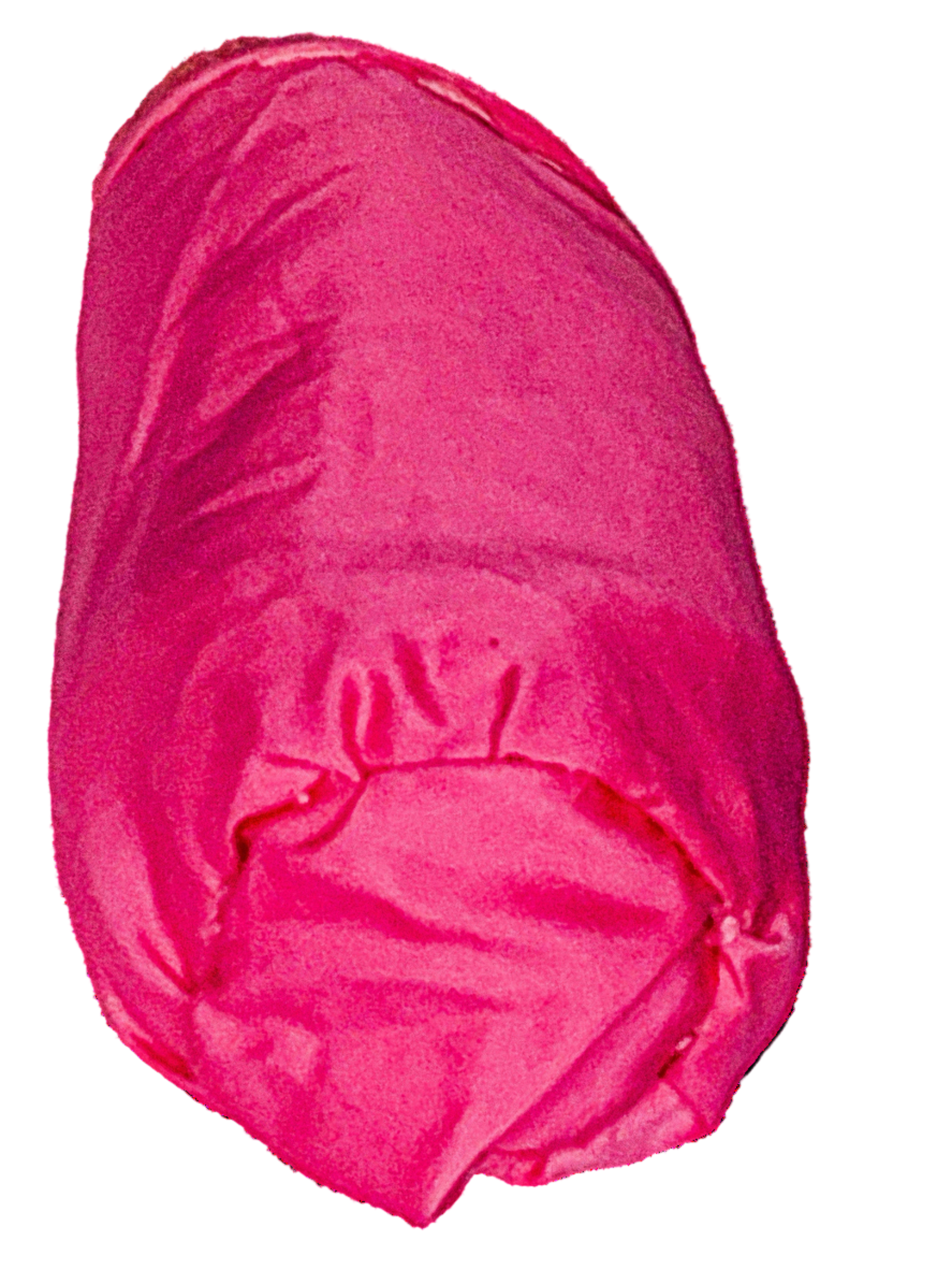 Watermelon Can Koozie