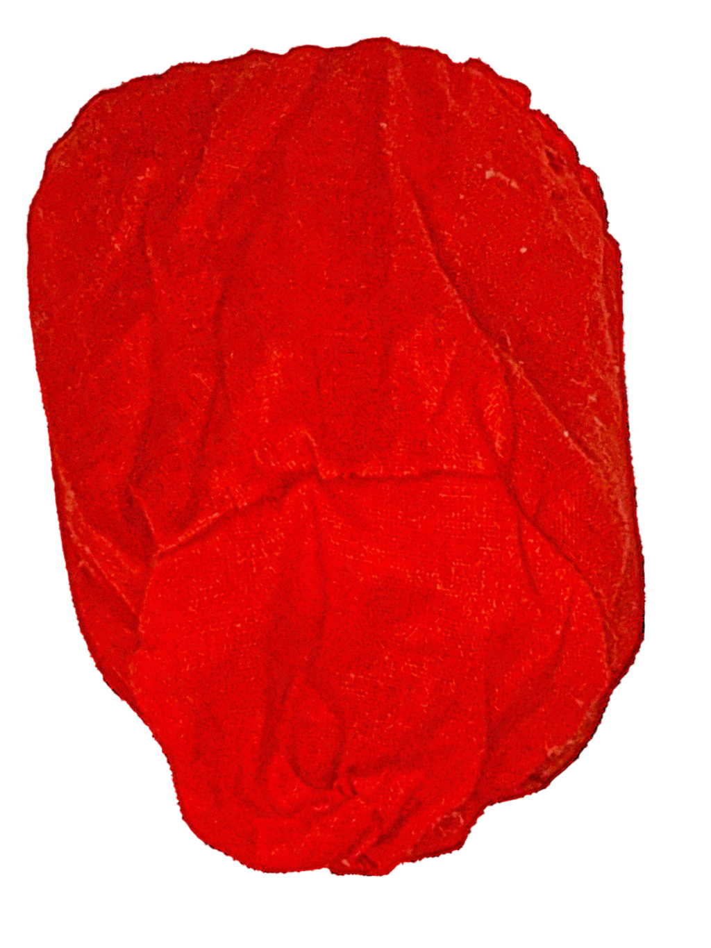 Watermelon Can Koozie