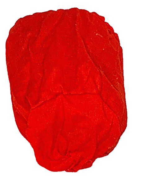 Strawberry Can Koozie