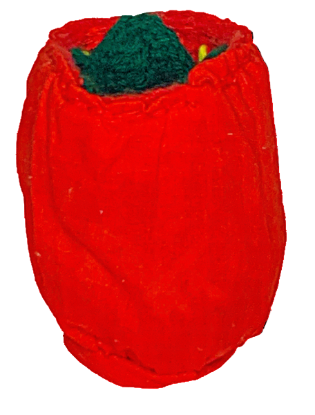 Strawberry Can Koozie