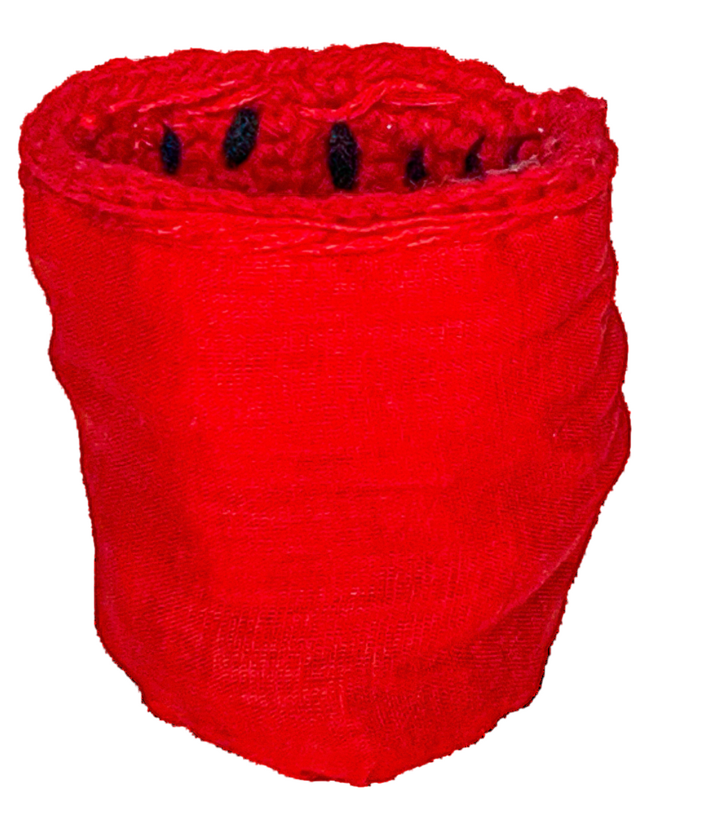 Watermelon Can Koozie