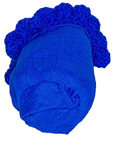 Blueberry Can Koozie