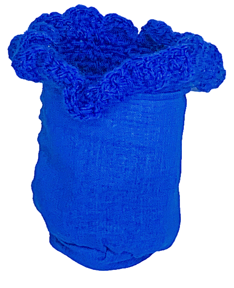 Blueberry Can Koozie