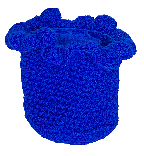 Blueberry Can Koozie